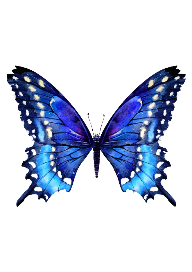 Borboleta Azul Para Imprimir para imprimir e colorir - imagem 5